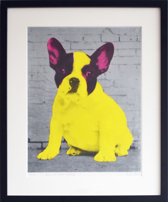 Pop Bulldog - Framed