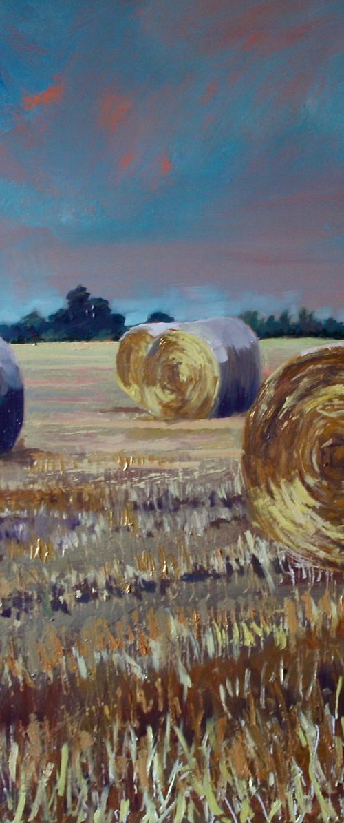 Summer End Fields of Gold II by Simon Jones