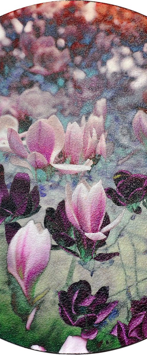 Magnolia (dianegative) by Karin Vermeer