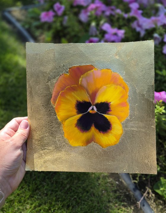 Pansy #17