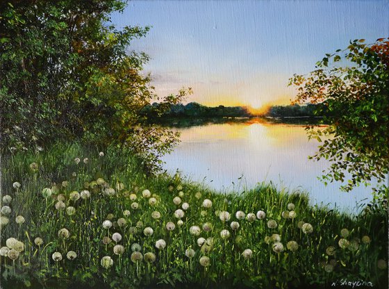 Dandelion Meadow at Sunset