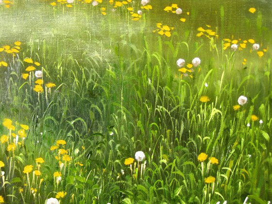 Misty Meadow at Sunrise