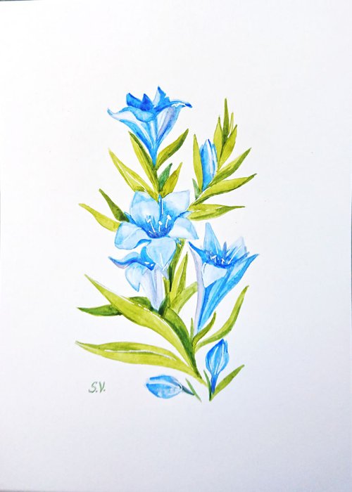 Blue flowers by Svetlana Vorobyeva