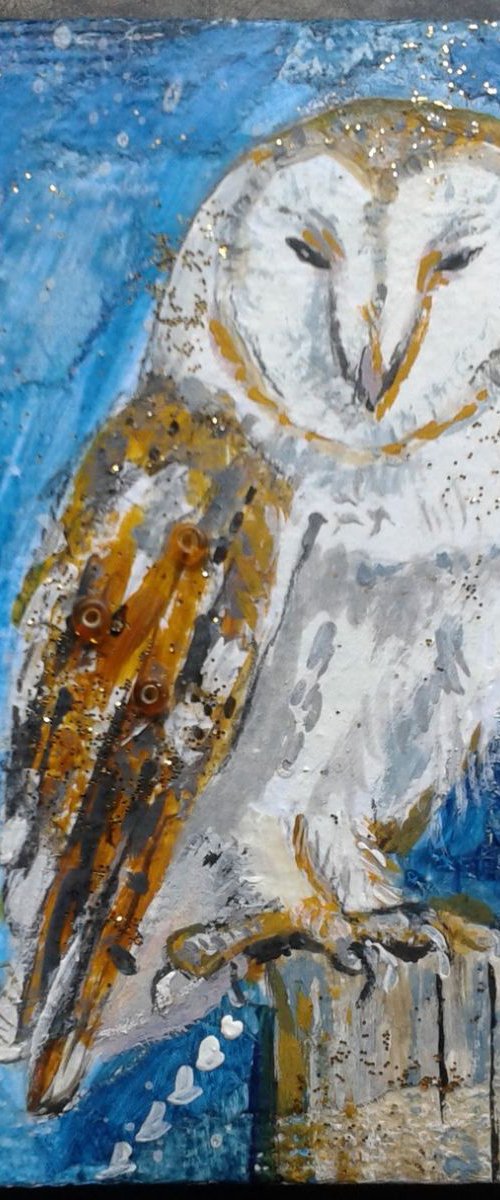 Barn Owl and Moon by Fiona Plaisted