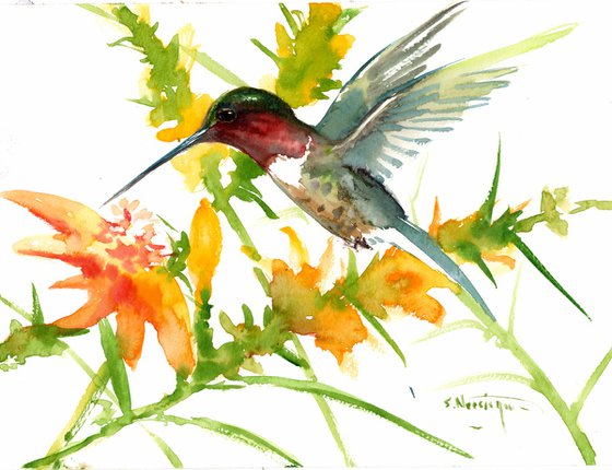 Hummingbird and flowers