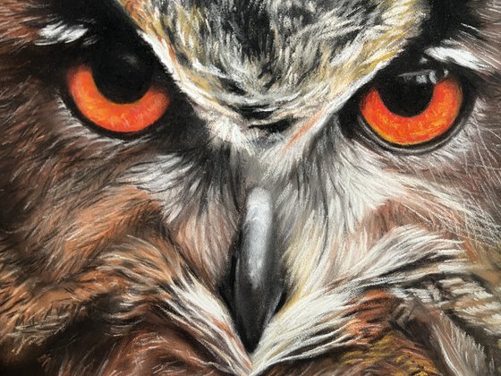 Amber Gaze - Original Owl Portrait