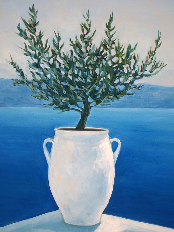 Olive tree in a white pot