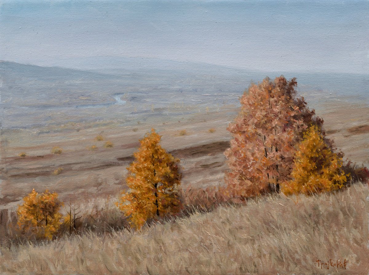 Impressionistic Landscape Oil Painting By Dejan Trajkovic, 16 X 12, Autumn In The Long Valley, Original Artwork