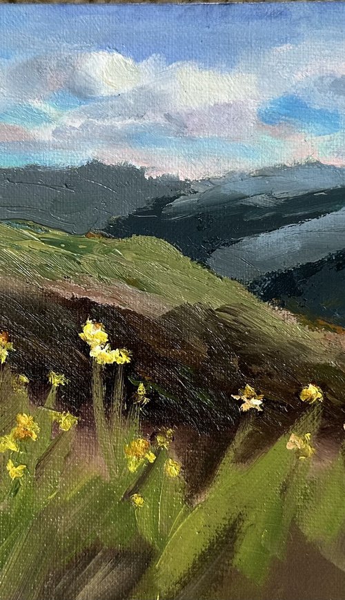 Wild Daisies by Grace Diehl