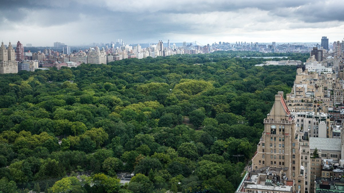 NEW YORK OASIS by Harv Greenberg