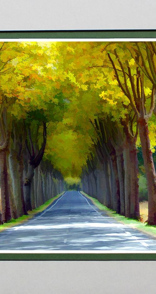 Tree Tunnel Four France by Robin Clarke