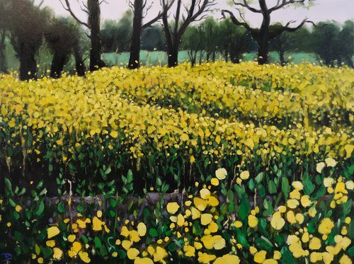 A walk through yellow fields by Kerry Lisa Davies
