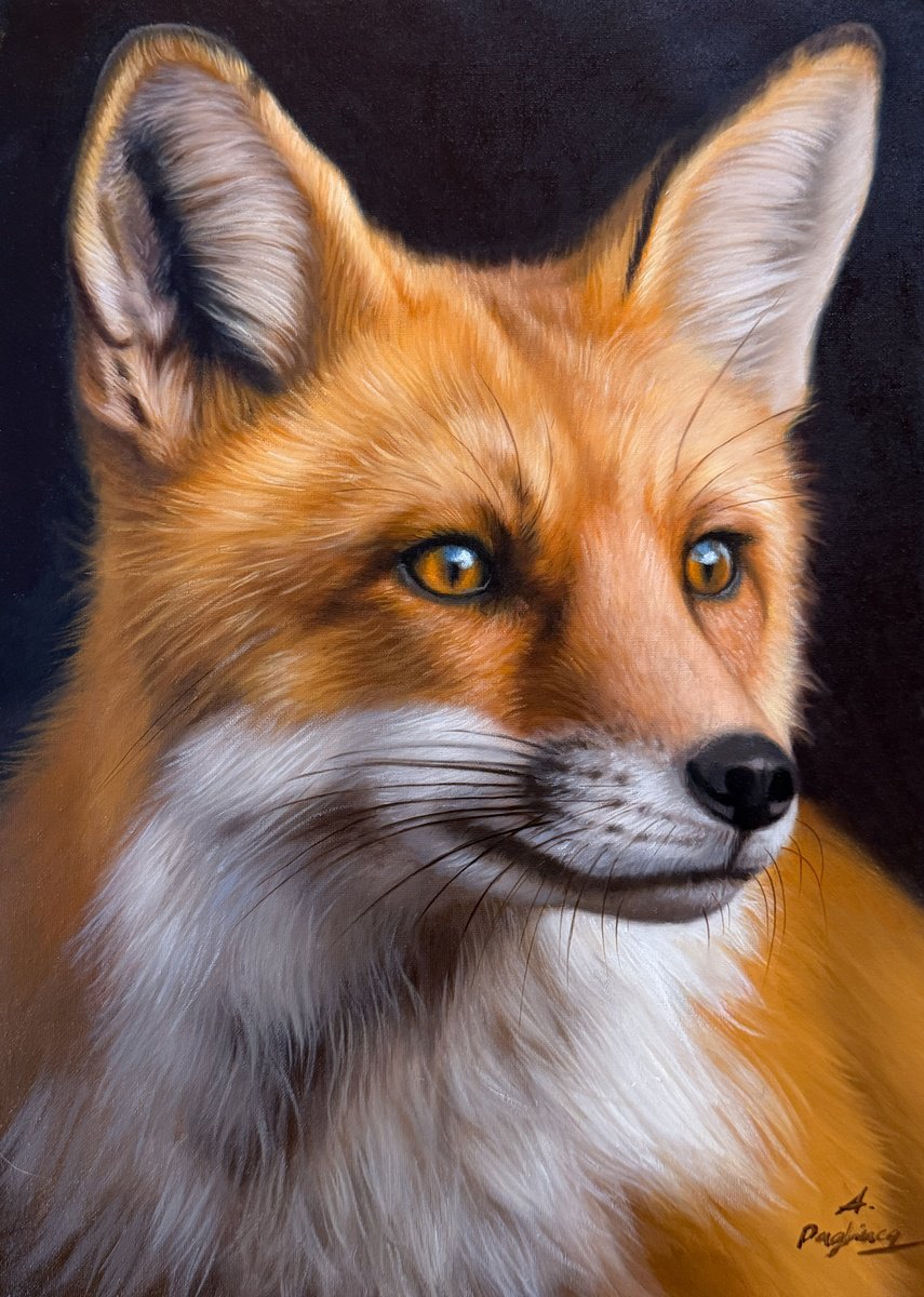 Photorealistic Oil Painting , The Fox By Alessandra Pagliuca, 15 X 19, Artwork For Sale On Artfinder