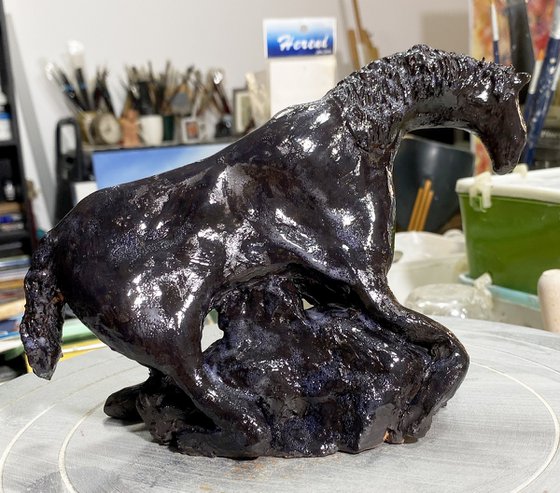 Equus
