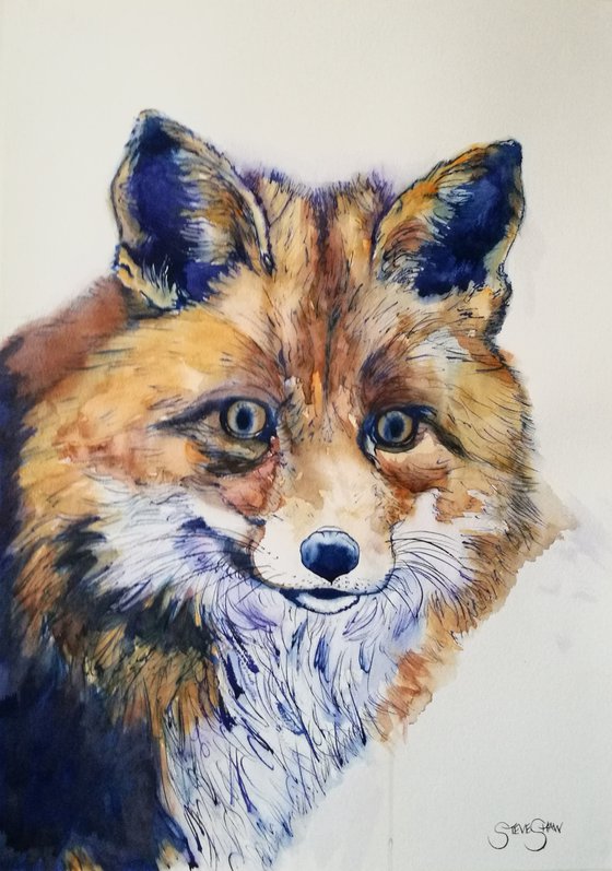 ' Mr Fox ' Watercolour on paper 42cm x 59.4cm. Free Shipping