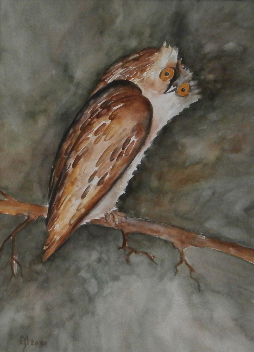 Illustrative Animal Watercolour By Zoran Mihajlovic Muza, 13 X 17", Owl, Original Artwork