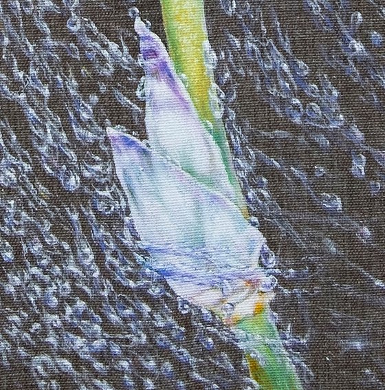 "Iris in Rain Pearls"