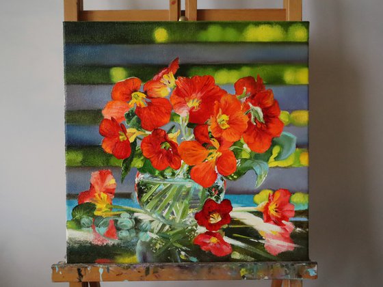 Nasturtium Flower, Sunlight