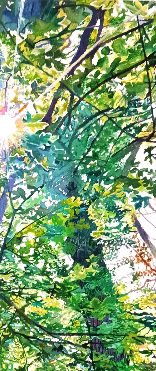 Among the Trees 5 by Imogen Skelley