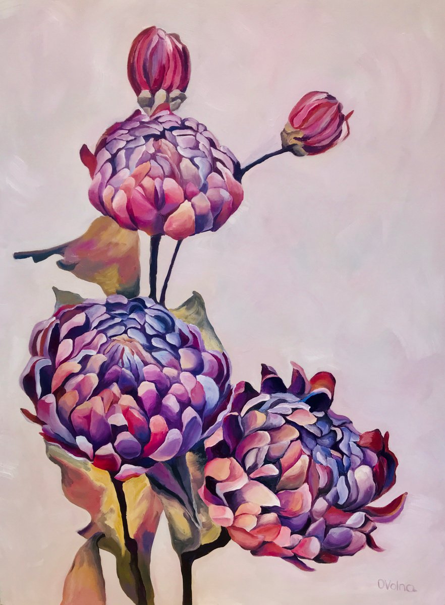 Lilac Chrysanthemums by Olga Volna