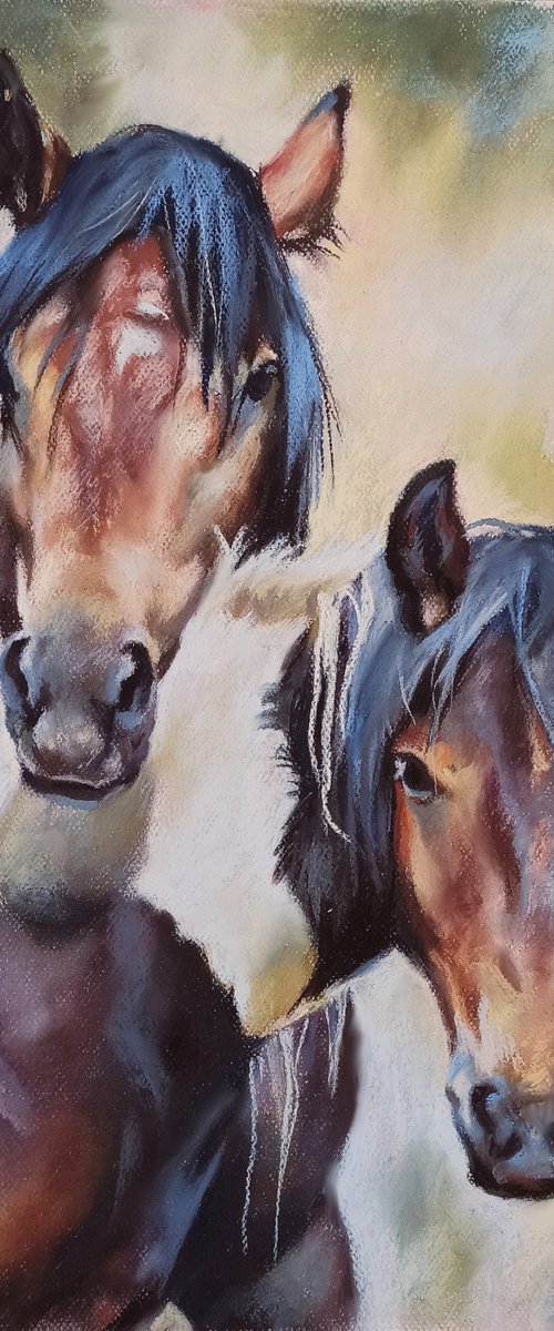 A pair of wild horses by Magdalena Palega