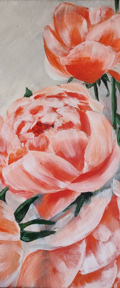 Peonies flowers by Nataliia Plakhotnyk