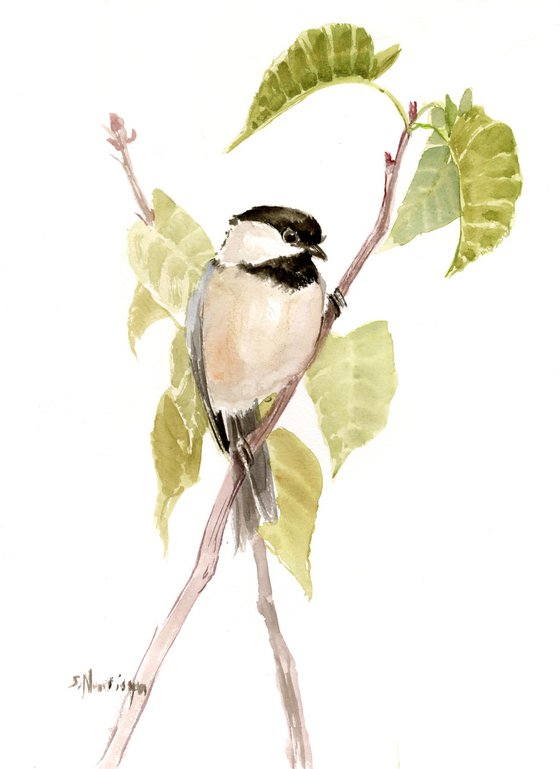 Chickadee