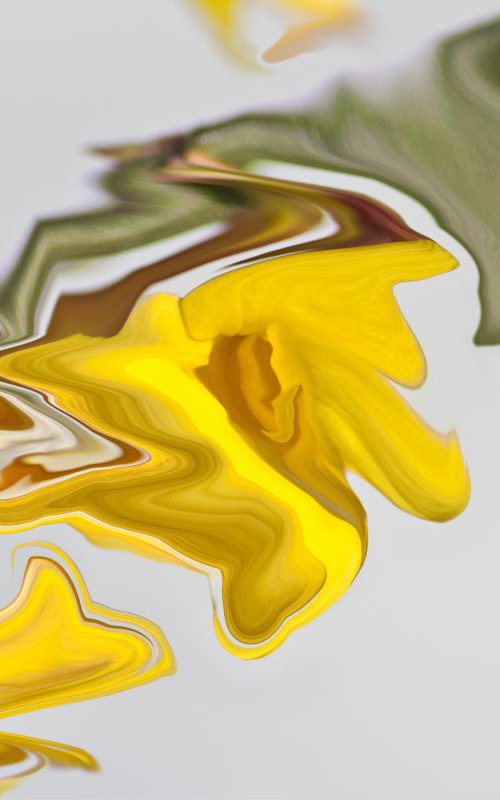 abstract yellow contrasts by Bruno Paolo Benedetti