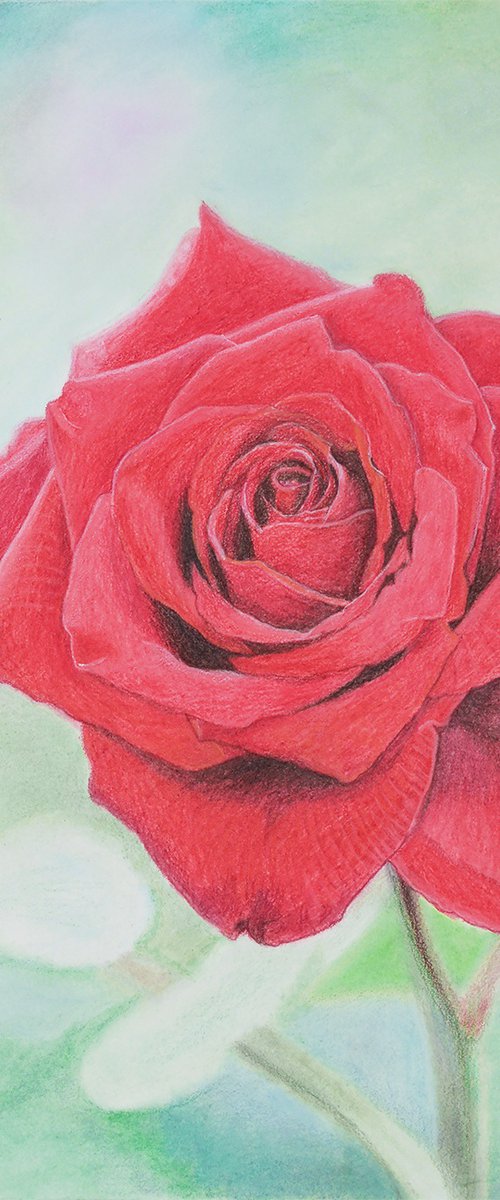 In Full Bloom by Paramjeet Kaur