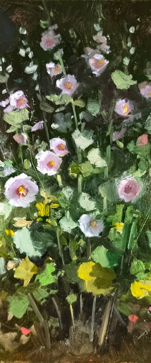 Hollyhocks by Pascal Giroud