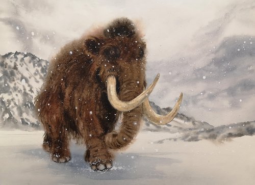 Mammoths from the Ice Age by Olga Beliaeva Watercolour