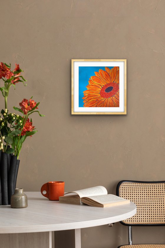 Gerbera