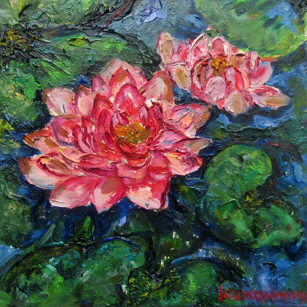 Pink Waterlilies in a pond 20x20cm/8x8 in by Katia Ricci