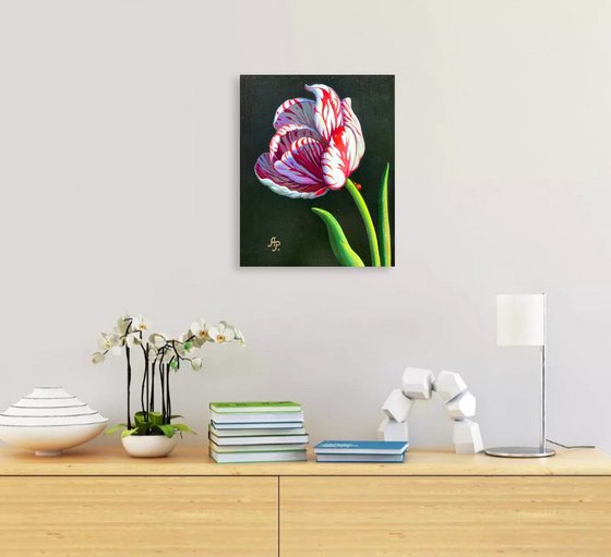 Tulip and ladybug