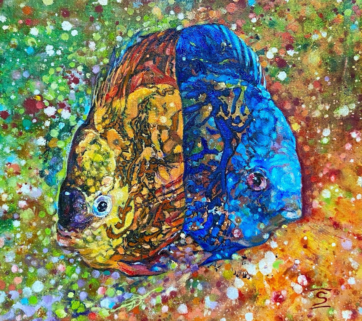 Impressionistic Animal Oil Painting By Elvira Sesenina, 11 X 9, Meeting Of Two Discus Fish, Original Artwork