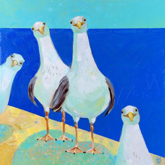 herring gulls