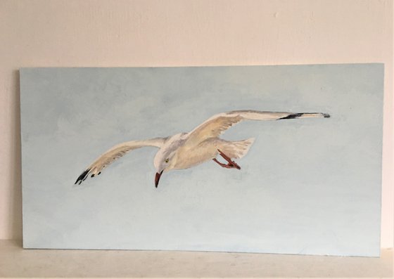 'Gull #1'