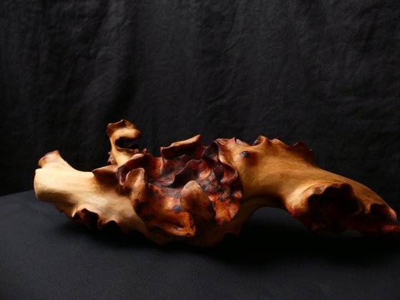 Emerging Phoenix No.2 (2025)