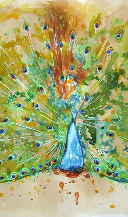 Peacock I by Anna Sidi-Yacoub