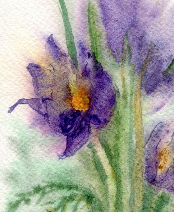 Original watercolor violet flowers bouquet