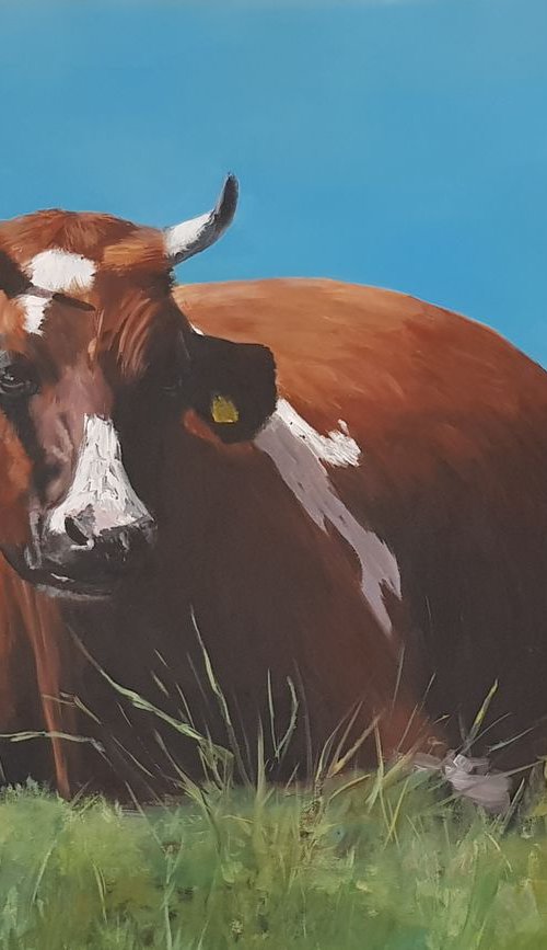 Brown cow lying in the grass by Britta Kröger