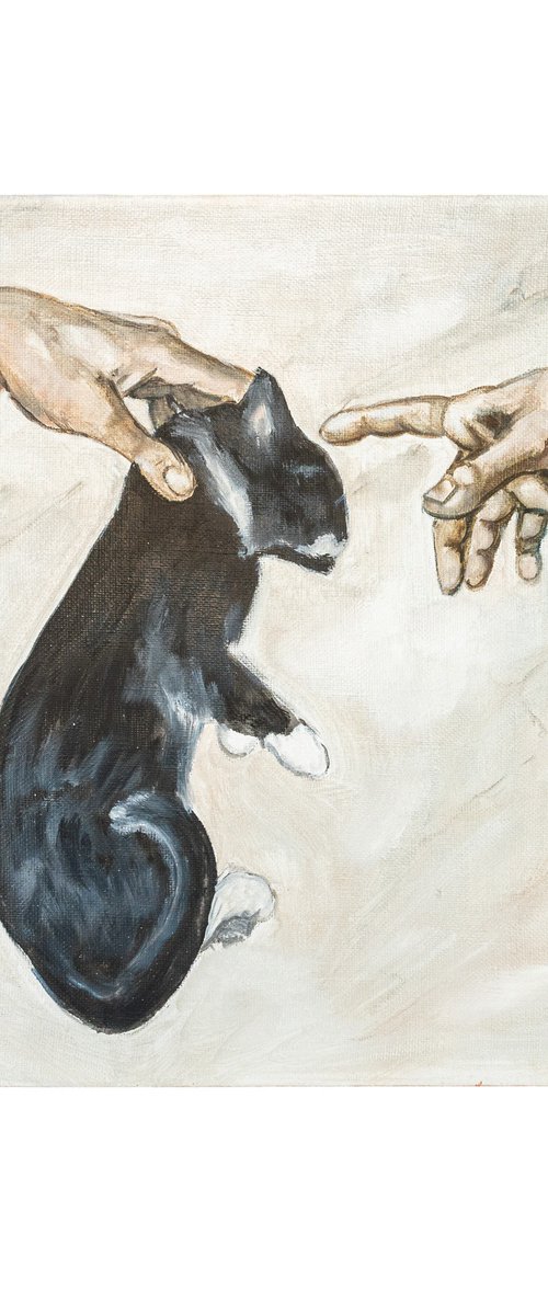 Creation of a Cat by VICTO