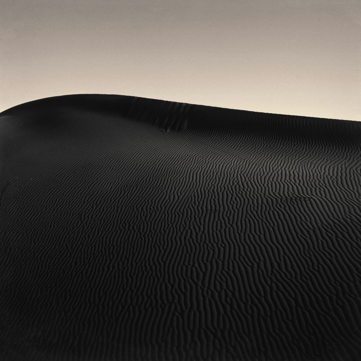 Photorealistic Landscape Photograph By Nadia Attura, 20 X 20", Sahara Song Black And White, Original Artwork