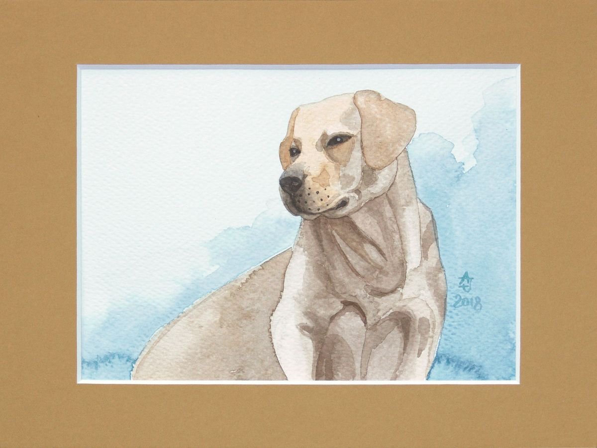 Illustrative Animal Watercolour By Jolanta Czarnecka, 9 X 7, Happy Labrador - Free Shipping, Original Artwork