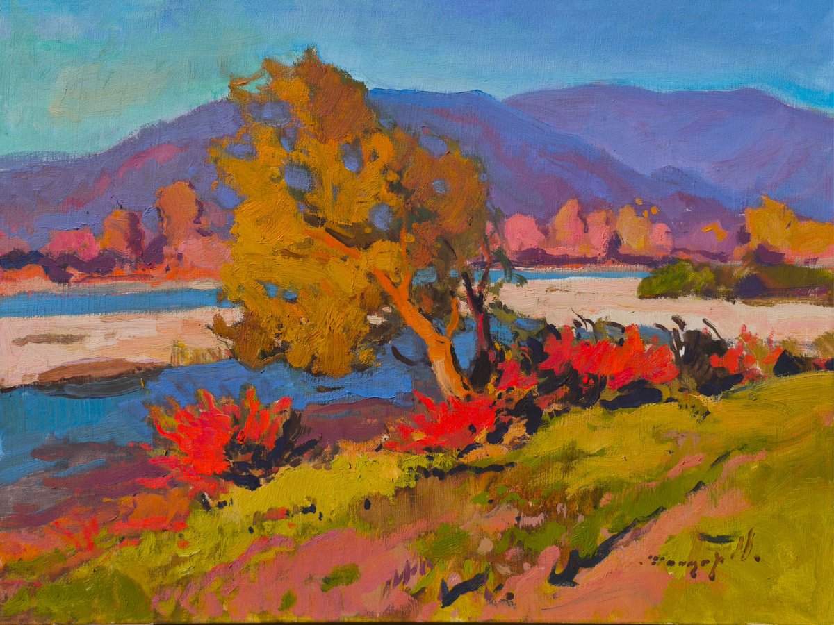 Autumn Sun By Alexander Shandor, 23 X 17, Artwork For Sale On Artfinder