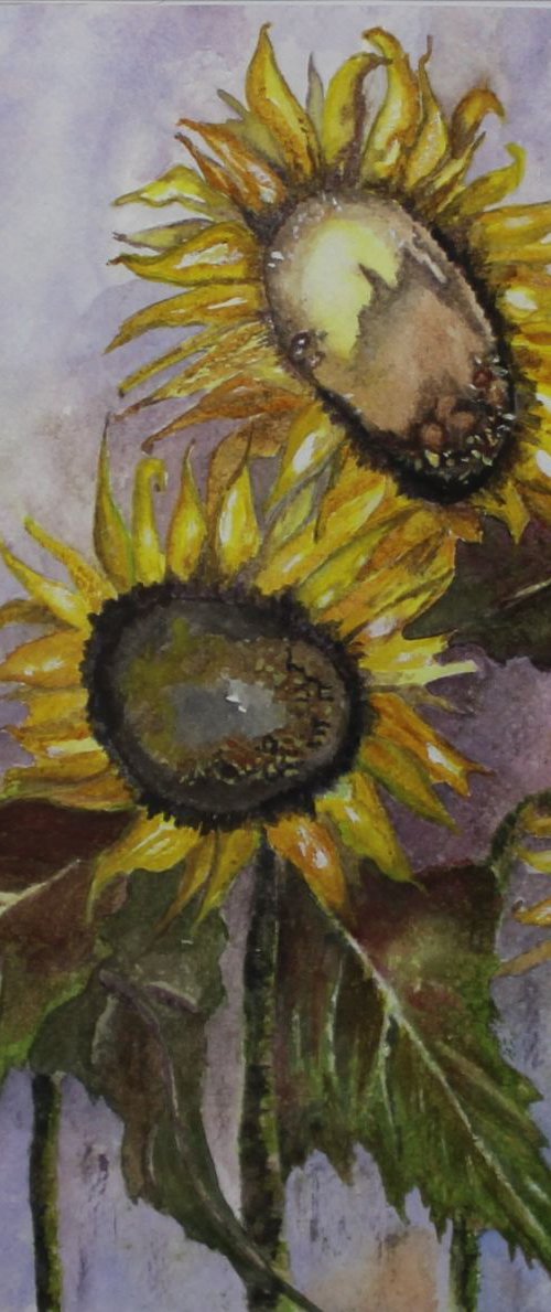 Sunflowers by Deborah Jayne Palmer