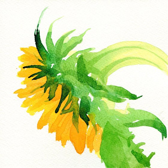 Sunflower on it's Side