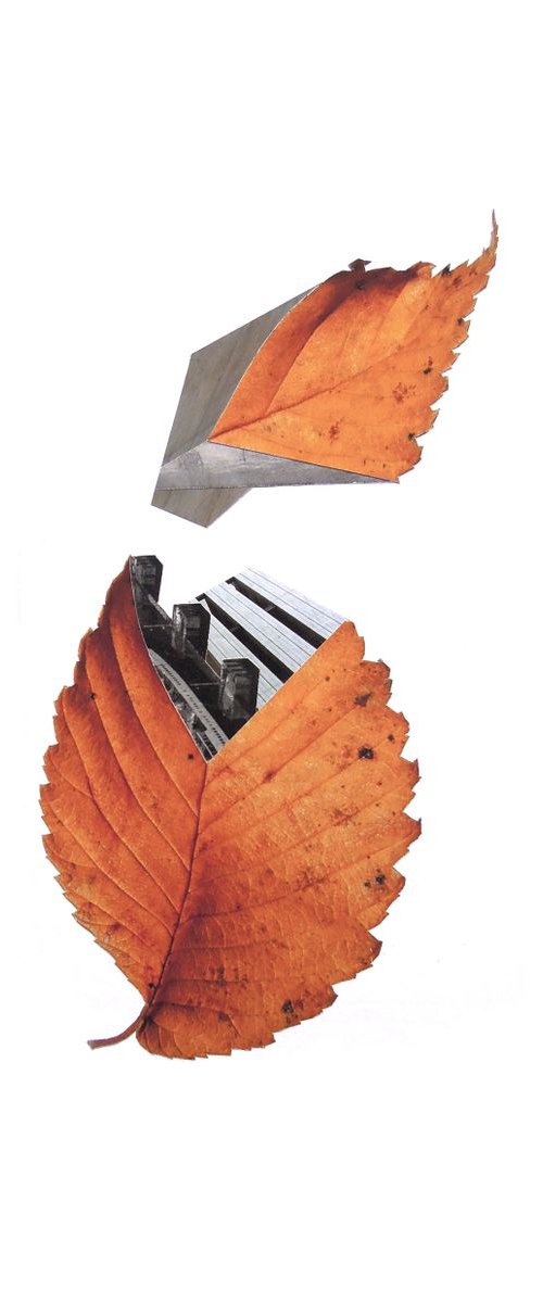 Leaf 4 by Benjamin West