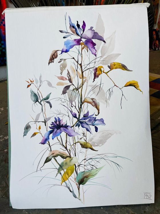 Violet Bloom