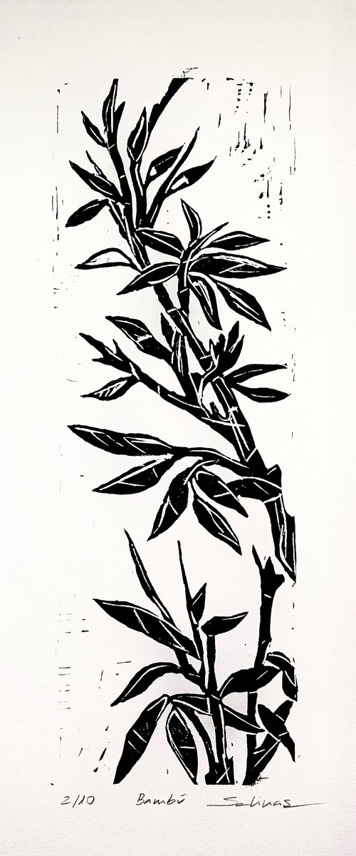 Bamboo by Natalia Salinas Mariscal
